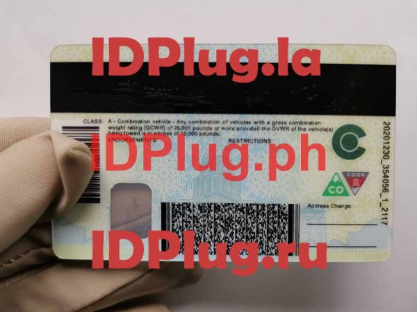 COLORADO NEW CDL - Image 2