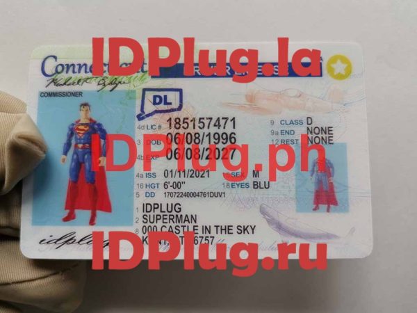 CONNECTICUT NEW fake id