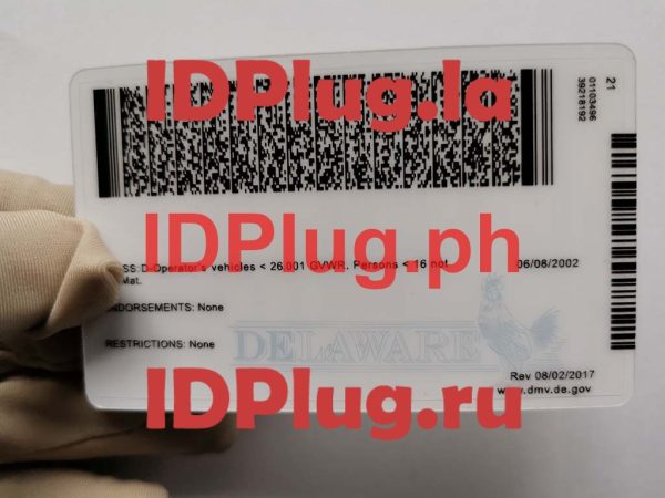 DELAWARE NEW U21 - Image 2