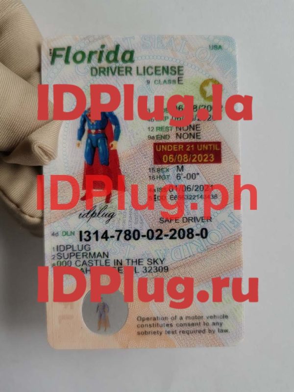 FLORIDA NEW U21