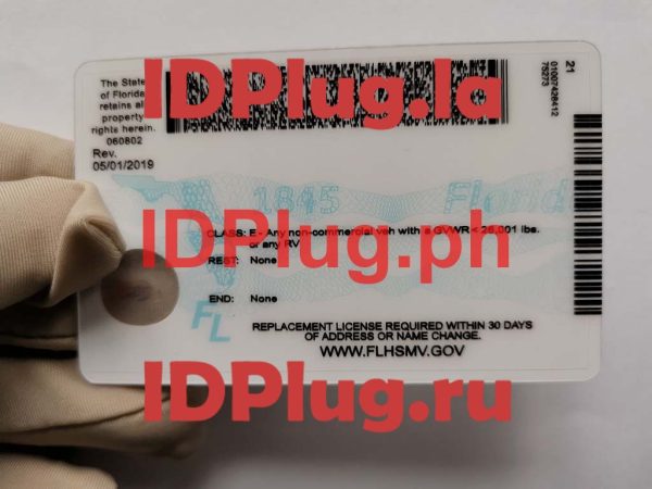 FLORIDA NEW U21 - Image 2