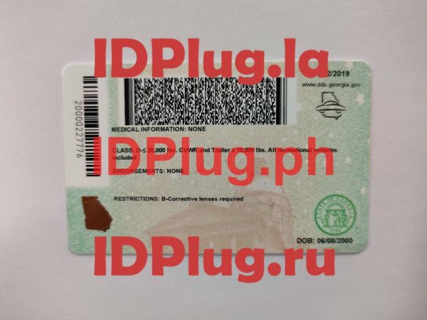 GEORGIA NEW U21 - Image 2