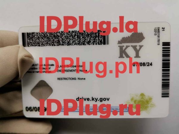 KENTUCKY NEW - Image 2