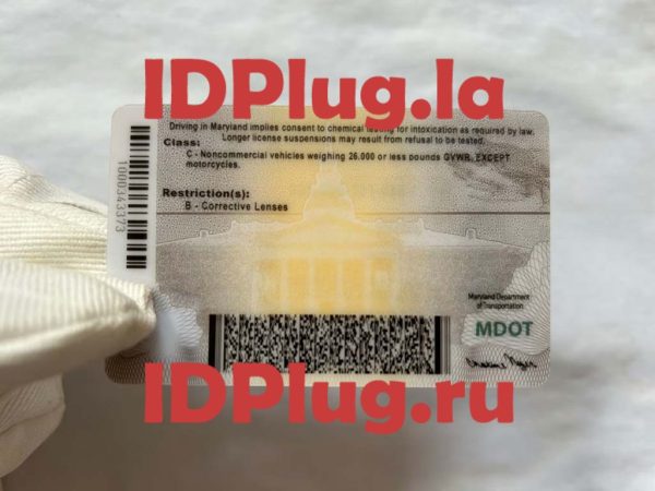 MARYLAND NEW 2022（Real Lense and Fully Polycarbonate） - Image 2