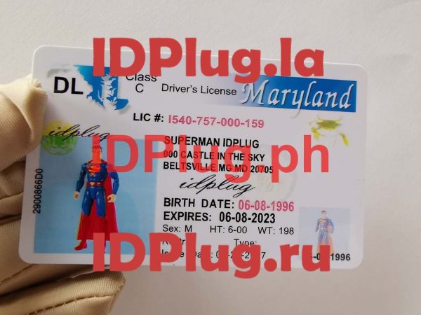MARYLAND OLD