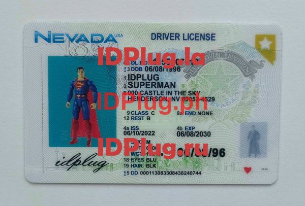 NEVADA NEW