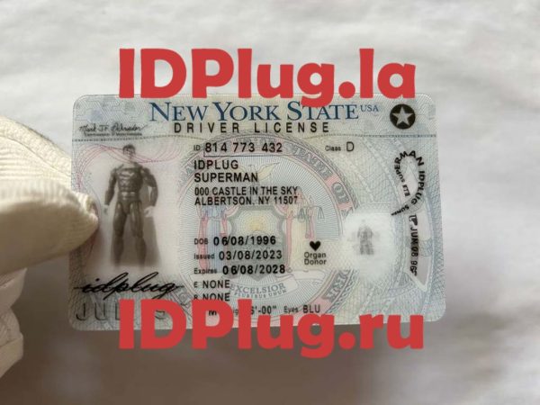 NEW-YORK O21 2022（Real lense and Fully Polycarbonate）