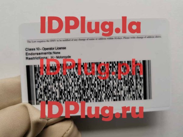 RHODE-ISIAND OLD - Image 2